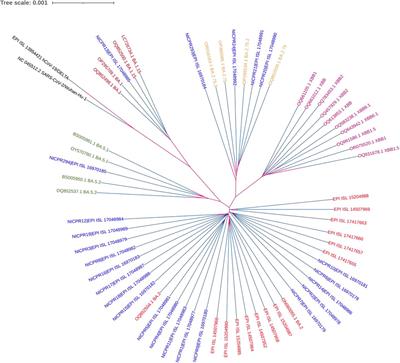 Genome sequencing of SARS-CoV-2 omicron variants in Delhi reveals alterations in immunogenic regions in spike glycoprotein